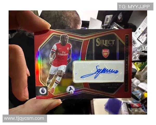 足球球星卡收藏投资指南如何选择与购买热门球星卡提升收藏价值